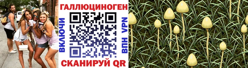 Купить где  Соликамск  Галлюциногенные грибы Cubensis 